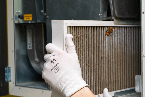 Best Air Vent Cleaning Services  in Norris, TN